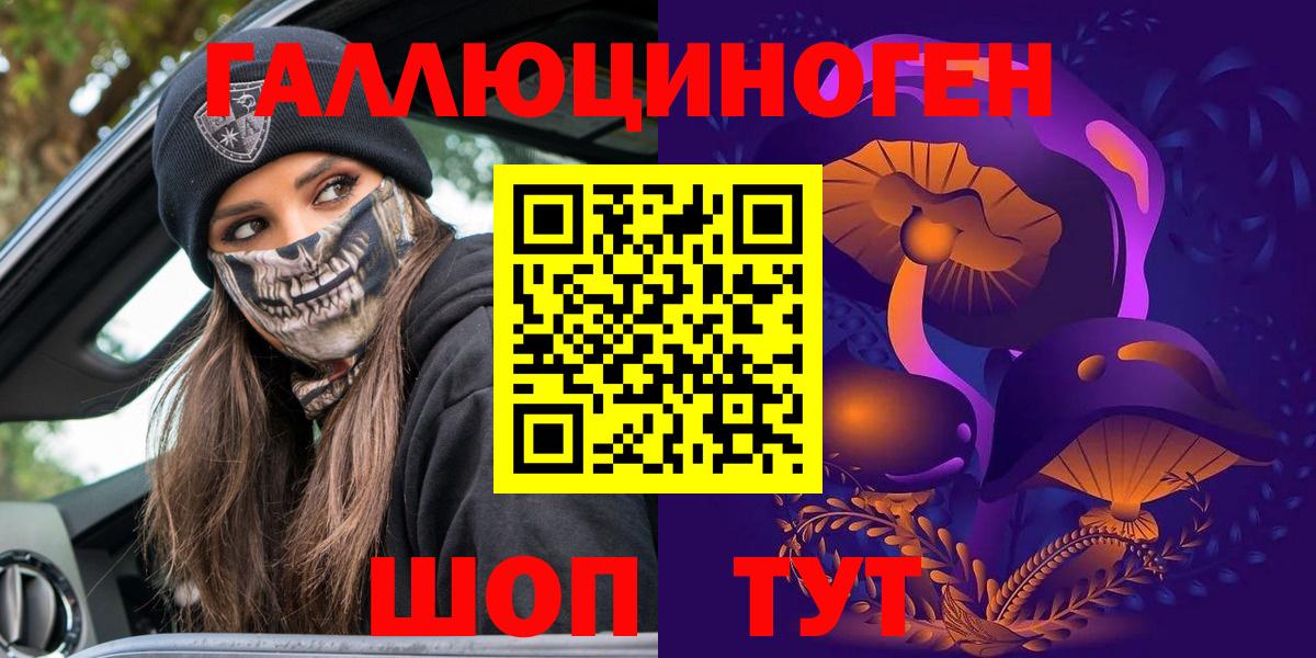 Псилоцибиновые грибы Psilocybe  Псилоцибиновые грибы мицелий  Вход с VPN  Бердск 
